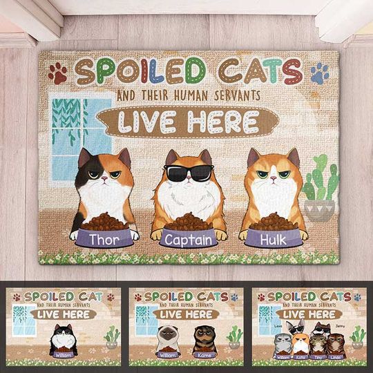 Discover Spoiled Cats And Their Human Servants Live Here - Funny Personalized Decorative Mat